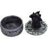 Ivy Familiar Box 15cm Cats Gifts Under £100