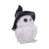 Snowy Spells 9cm Owls Out Of Stock