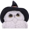 Snowy Spells 9cm Owls Out Of Stock