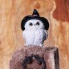 Snowy Spells 9cm Owls Out Of Stock