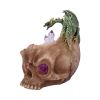 Crystalline Cranium 15.7cm Dragons Sale Items