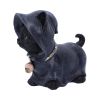 Reapers Kitty 15.5cm Cats September Flash Sale 2024 | Gothic