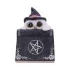 Owl's Spell 15cm Owls Sale Items