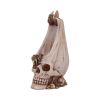 Dragon Within Backflow Incense Burner 23.5cm Skulls Summer Sale 2024