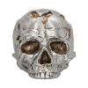 Fracture (Large) 16cm Skulls Sale Items