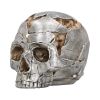 Fracture (Large) 16cm Skulls Sale Items