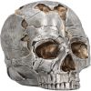 Fracture (Large) 16cm Skulls Sale Items