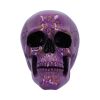 Violet Elegance 18.5cm Skulls Gifts Under £100