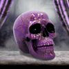 Violet Elegance 18.5cm Skulls Gifts Under £100