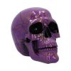 Violet Elegance 18.5cm Skulls Gifts Under £100