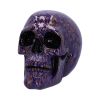 Indigo Elegance 18.5cm Skulls Gifts Under £100