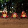 Three Wise Birds 9.8cm Animals New Arrivals