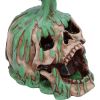 Fatal Elixir 19.2cm Skulls New Arrivals