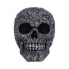 High Life 15.5cm Skulls New Arrivals