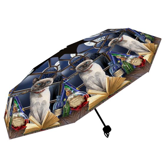 Hocus Pocus Umbrella (LP) Cats Summer Sale 2024