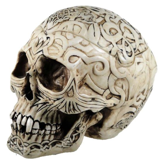 Celtic Skull Box 20cm Skulls Sale Items