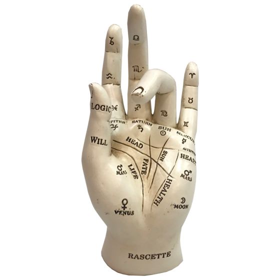 Palmistry 17.7cm Palmistry Gifts Under £100