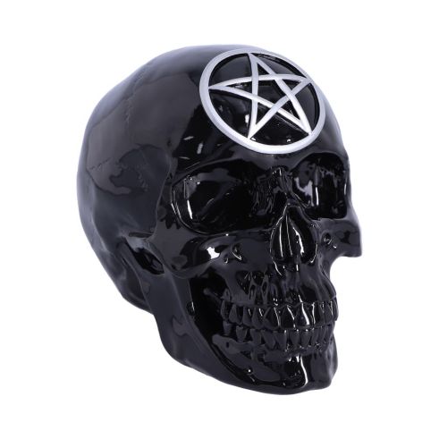 Black Magic 19.5cm Skulls September Flash Sale 2024 | Gothic