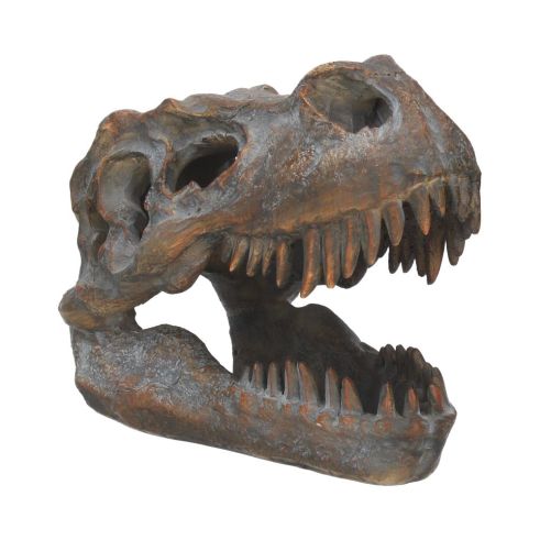 Tyrannosaurus Rex Skull Freestanding 16cm Dinosaurs Top 200 None Licensed