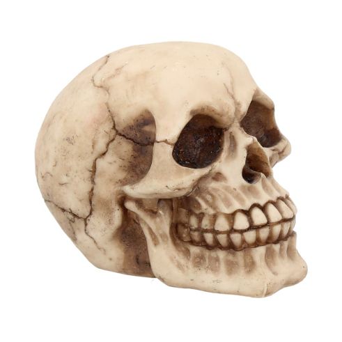 Joker 12cm Skulls Out Of Stock