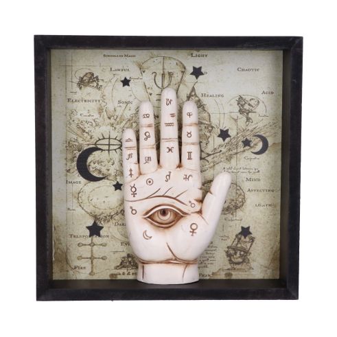 Palmistry Companion 20.2cm Palmistry Summer Sale 2024